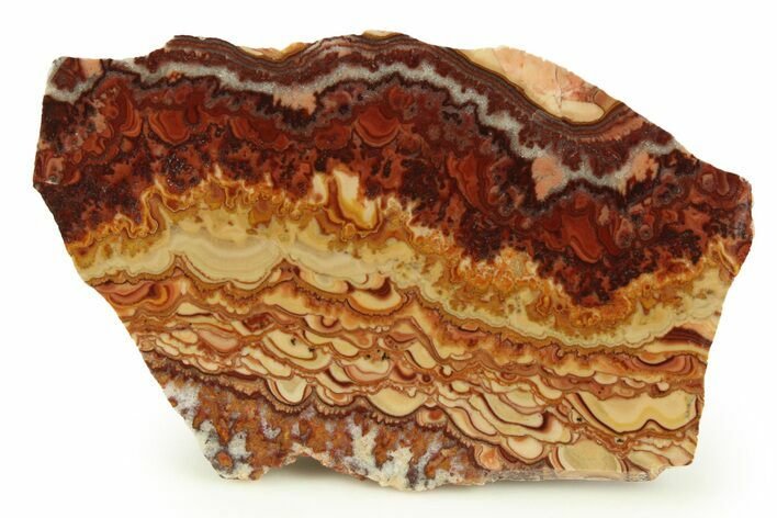 Polished Slab Of Rolling Hills Dolomite - Mexico #303059